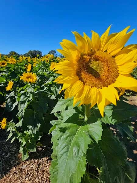 Warm Belly Farm and Garden Center — venue photo 2