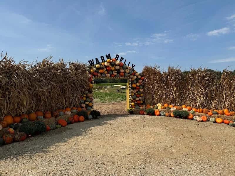 Warm Belly Farm and Garden Center — venue photo 3