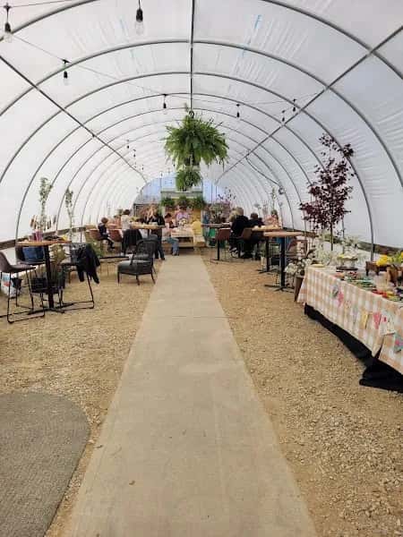 Warm Belly Farm and Garden Center — venue photo 4