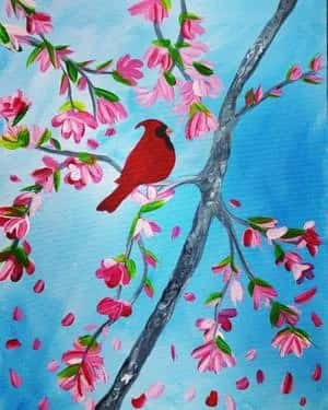 Spring Cardinal Visit