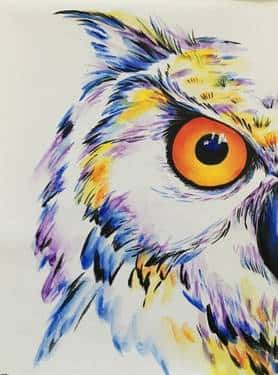 white horned owl