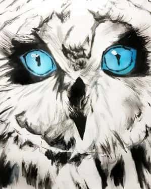 Owl Catch You Later
