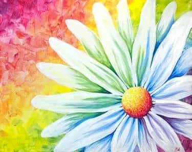 Rainbow Daisy III