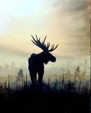 Misty Morning Moose