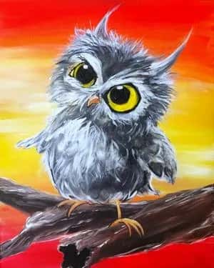Owl Fall Down