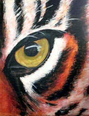 Eye of the Tiger