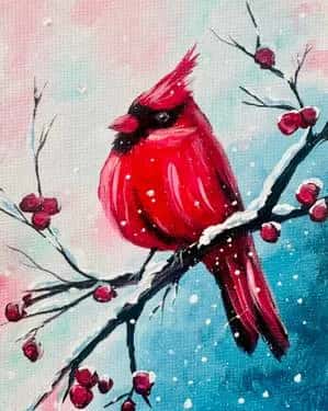 Chubby Cardinal 