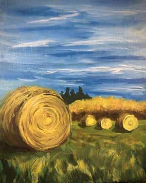 Prairie fields 