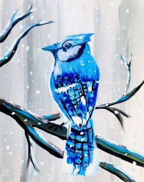 Blue Jay in Snow