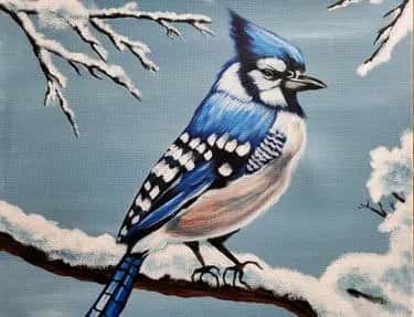 Snowy Blue Jay