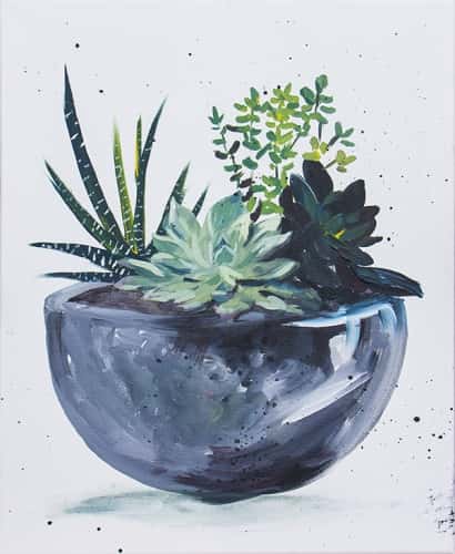 Simple Succulents