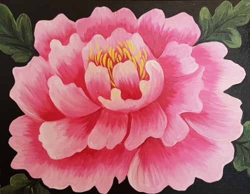 Pretty Peony