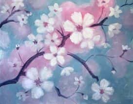 Cherry Blossoms