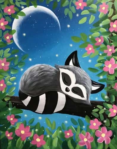 Restful Raccoon