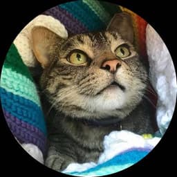 Watson (Chunk) profile photo