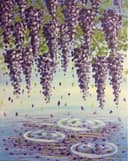 Wisteria Reflection thumbnail view