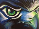 Hawk Fan Forever thumbnail view