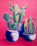 Cactus Collection thumbnail view