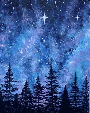 The North Star II - Paint Nite event in Surrey, BC