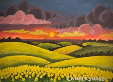 Canola Sunset  - Paint Nite event in Regina, SK