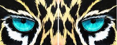 The Roar (Partner Painting) - Paint Nite event in Saskatoon, SK