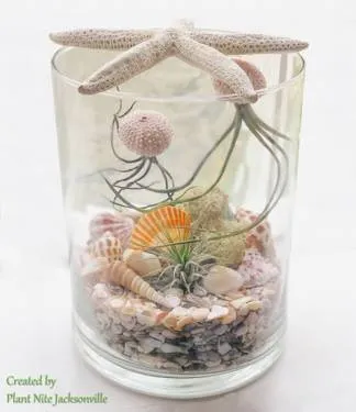 Deluxe Succulent Shadowbox — Painting