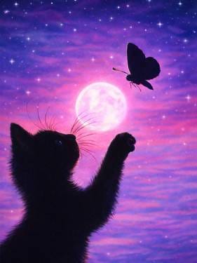 Paint Nite @Casa Mexico KANATA THURSDAYS! Chasing Light — Painting