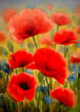 Poppies — Painting