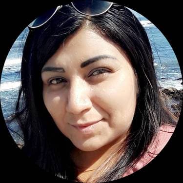 Paint Zenyful shop logo