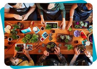 Plant Night ! Mini Succulent Workshop - Make a mini terrarium - Paint Nite event in Borden, ON