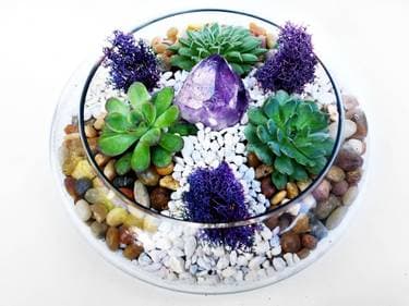 Glass Lily Bowl Succulent Terrarium W/River Rocks and Amethyst Crystal - Paint Nite event in Winnipeg, MB