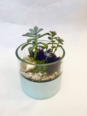 Teal Succulent Planter with Gold and Silver Accents - Paint and sip event at The Canal in Worcester, MA - PaintNite.com