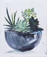 Simple Succulents thumbnail