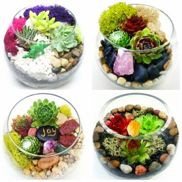 Terrarium Building Class — Painting