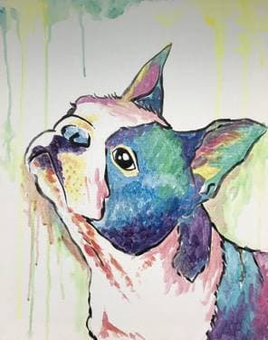 Custom Splash - Paint Your Pet II - Paint Nite event in Pointe-Claire, QC