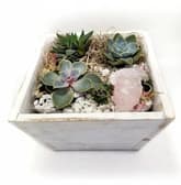 Rose Quartz and Succulents in Wooden Planter thumbnail