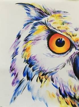 white horned owl - Paint and sip event at Birchwood Grill in Kenosha, WI - PaintNite.com