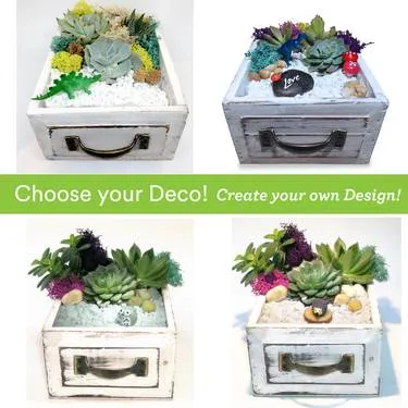 Succulent terrarium in wooden drawer w/ various deco — Painting