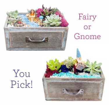 You Pick: Fairy or Gnome Succulent Garden - Paint Nite event in Tyngsborough, MA