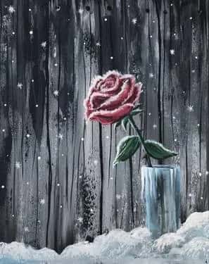 Frosted Rose