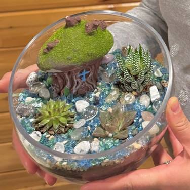 Plantnite mini terrariums — Painting