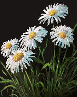 Wild Spring Daisies - Paint Nite event in Calgary, AB