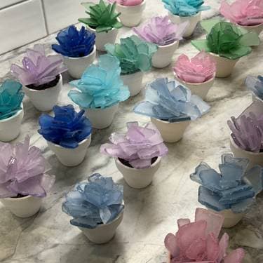 Create Your Own Seaglass Succulents Set of 3 - Paint Nite event in Bayport, NY