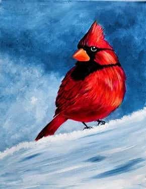 Snowy Winter Cardinal 2