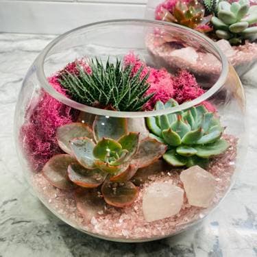 Rose Bowl Rose Quartz Succulent Garden - Paint Nite event in WOBURN, MA