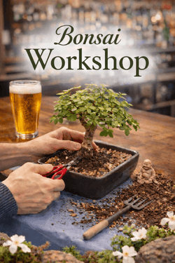 Momos Sport Bar and Grill Tuesdays 7:00 PM Bonsai 07/14/2026 — Painting