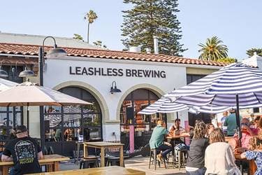 Leashless Brewing , Ventura, CA | Yaymaker