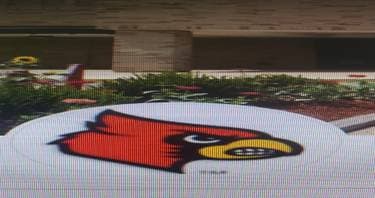 Lationa Elementary , Covington, KY | Yaymaker