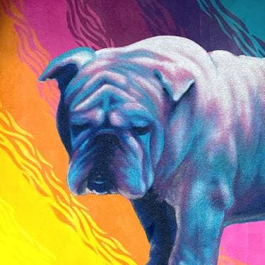 Parkside Eatery , Aurora, CO | Yaymaker